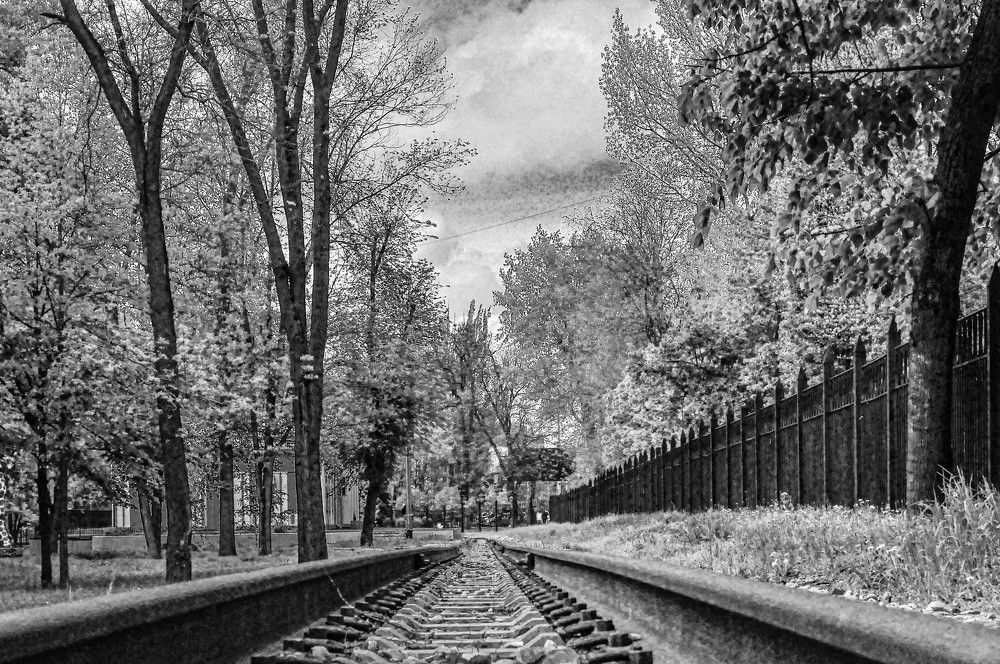 Photograph by Алекскандр Фатеев