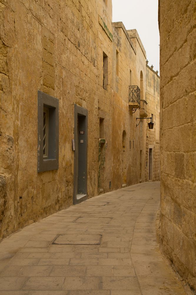 Photograph by Julia Celminska