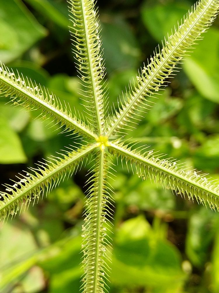 Photograph by sumit sitole