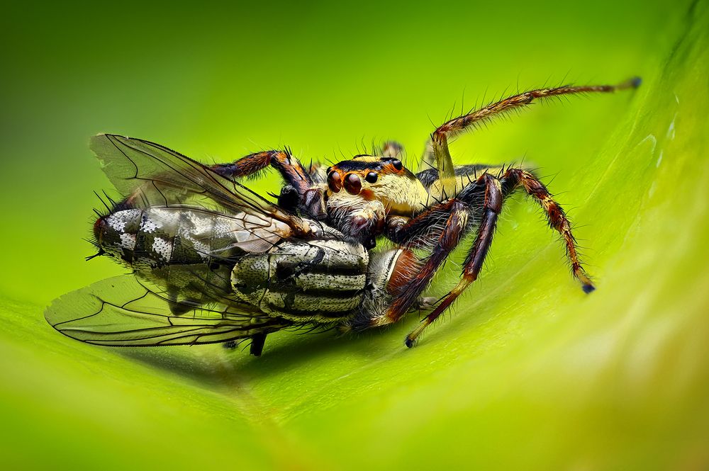 Photograph by Hoàng Nguyễn