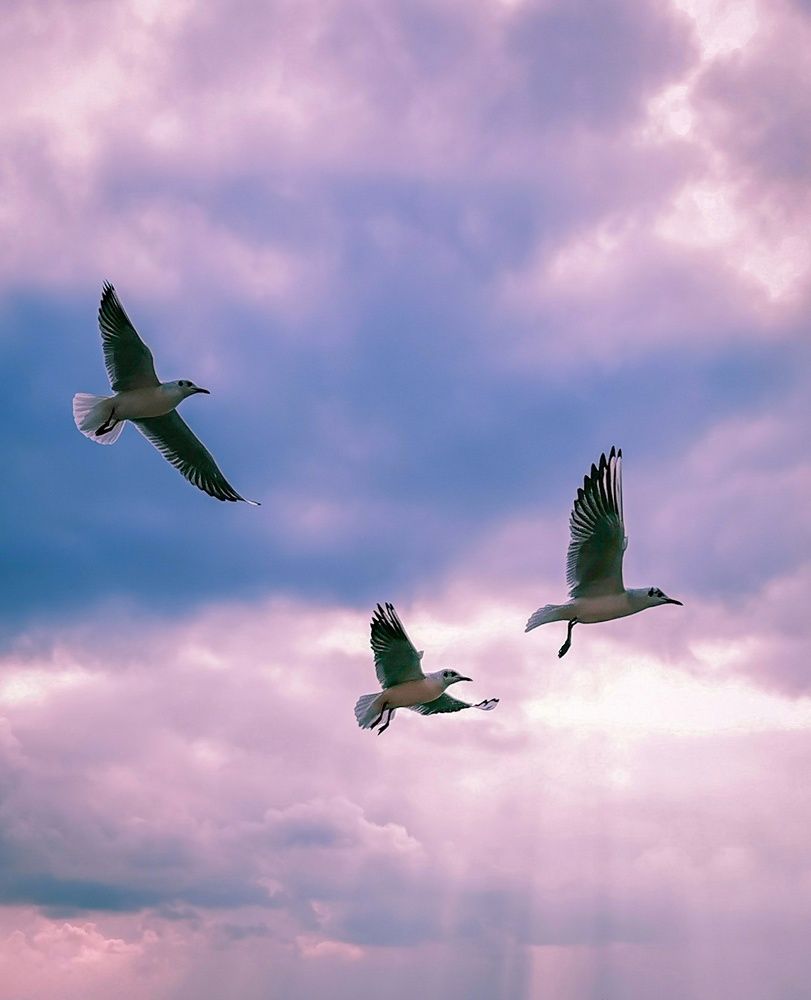 Photograph by Мария Цепилова