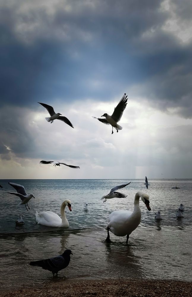 Photograph by Мария Цепилова