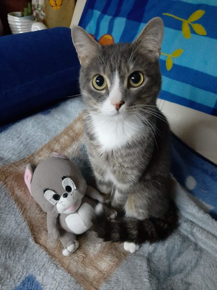 Photograph by Елена Горева