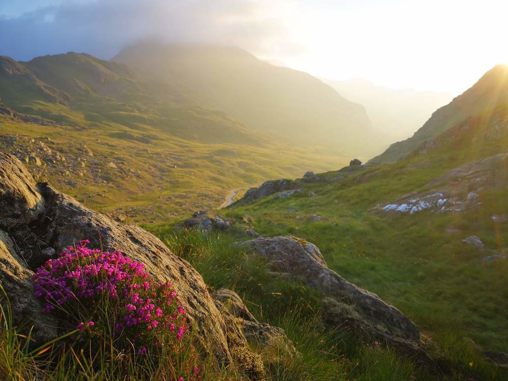 Photograph by Ian Heard