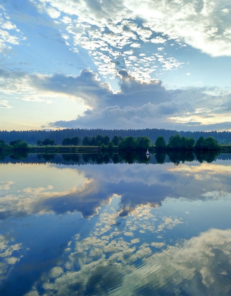 Photo #9405997