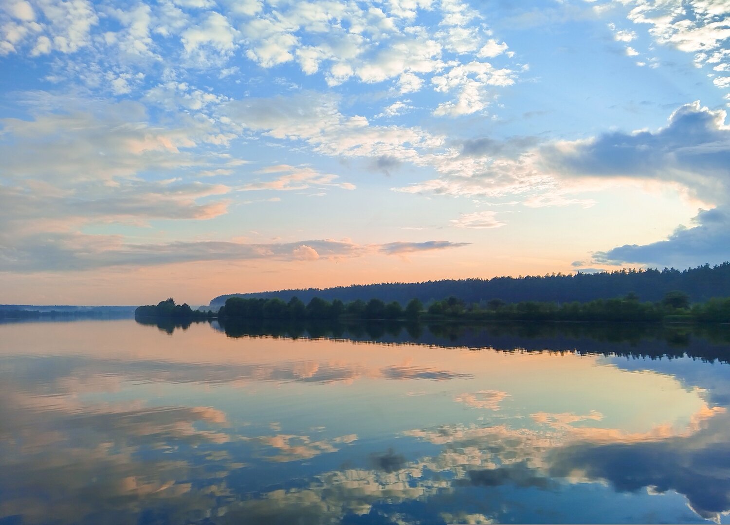 Photo #9406039