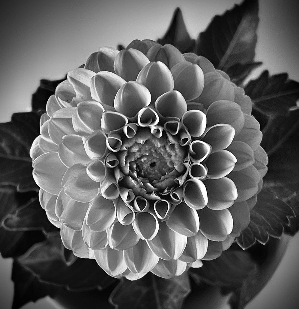 Photograph by Кира Бахвалова