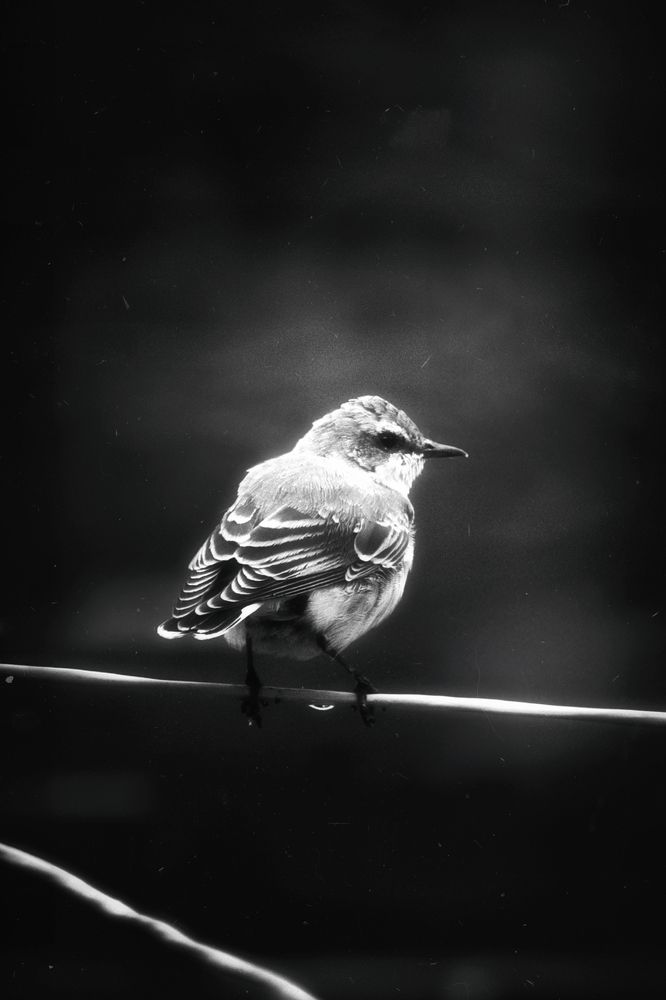 Photograph by Олеся Гамаюнова