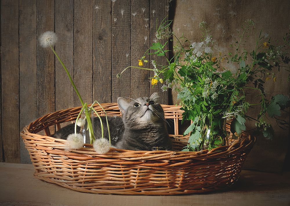 Photograph by MVO (Марк Орлов)