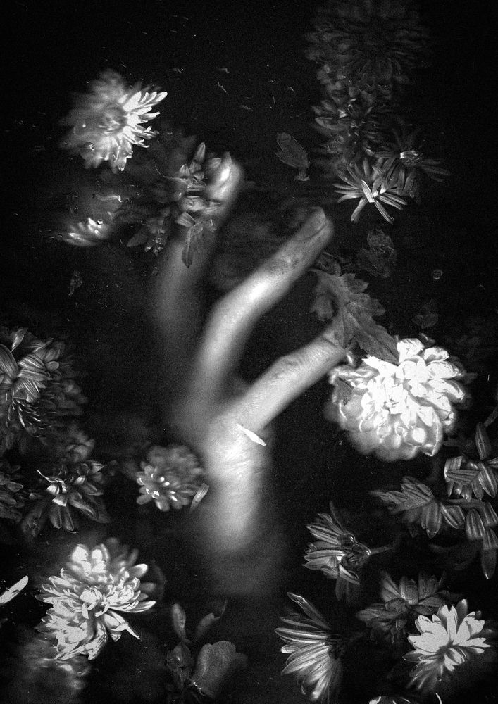 Photograph by Олеся Гамаюнова