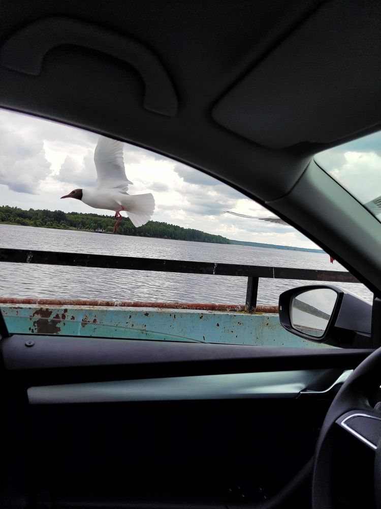 Photograph by Marina Green