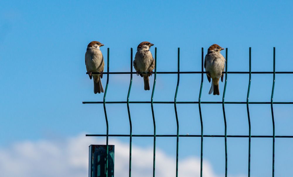 Photograph by Ilyin Evgeny