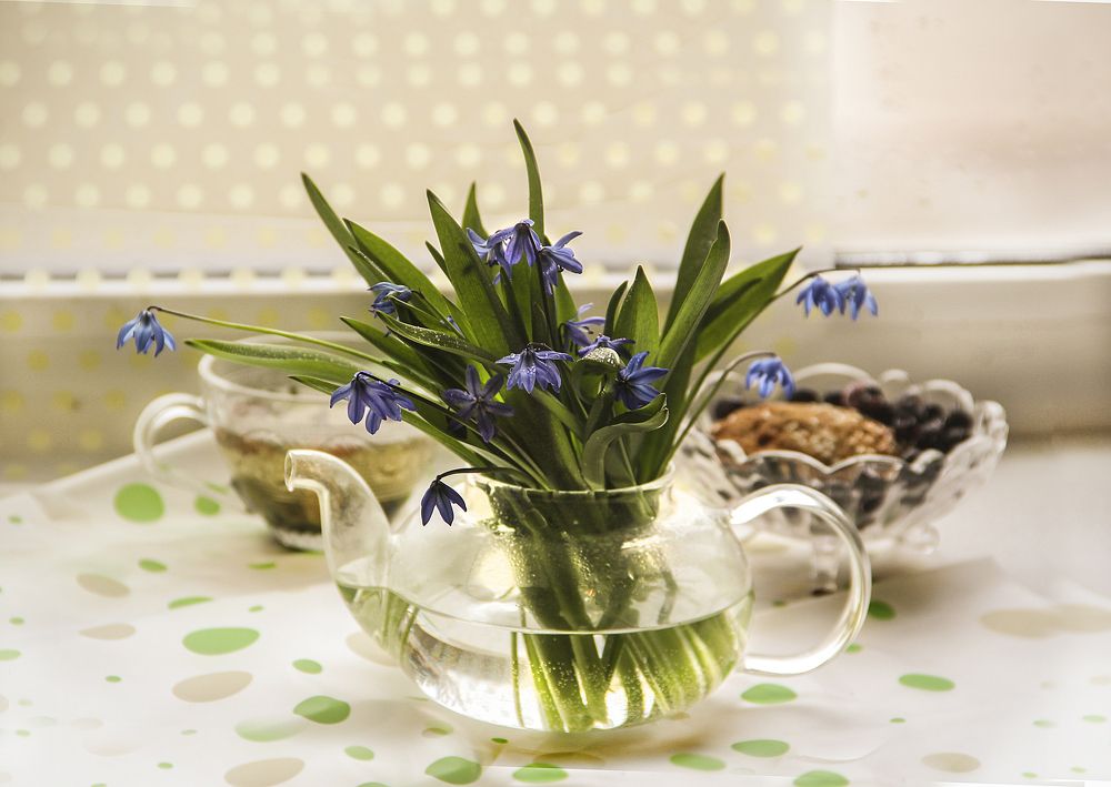 Photograph by Анна Фёдорова