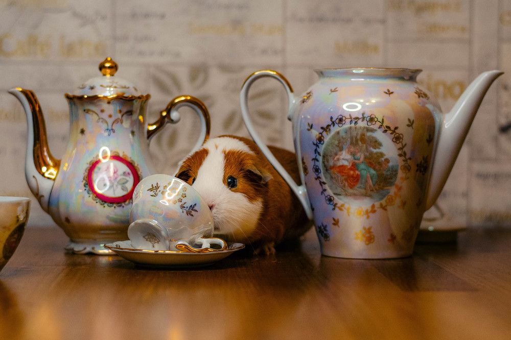 Photograph by Мария Дубова