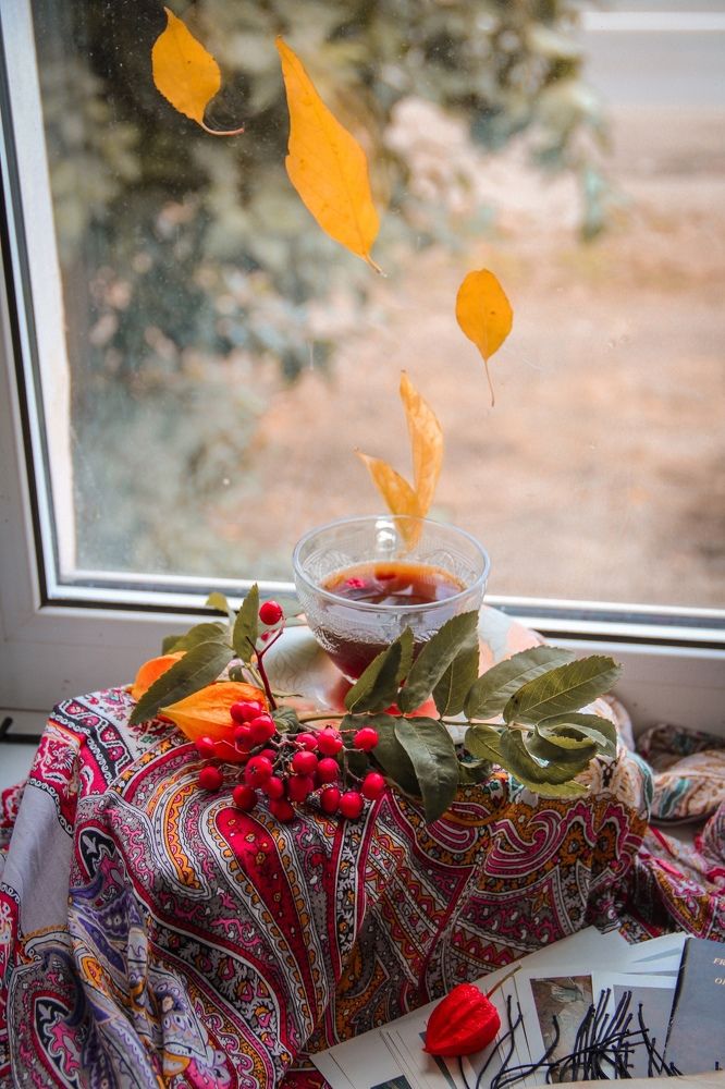 Photograph by Анна Фёдорова