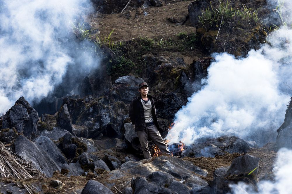 Фотография автора Quan Hung