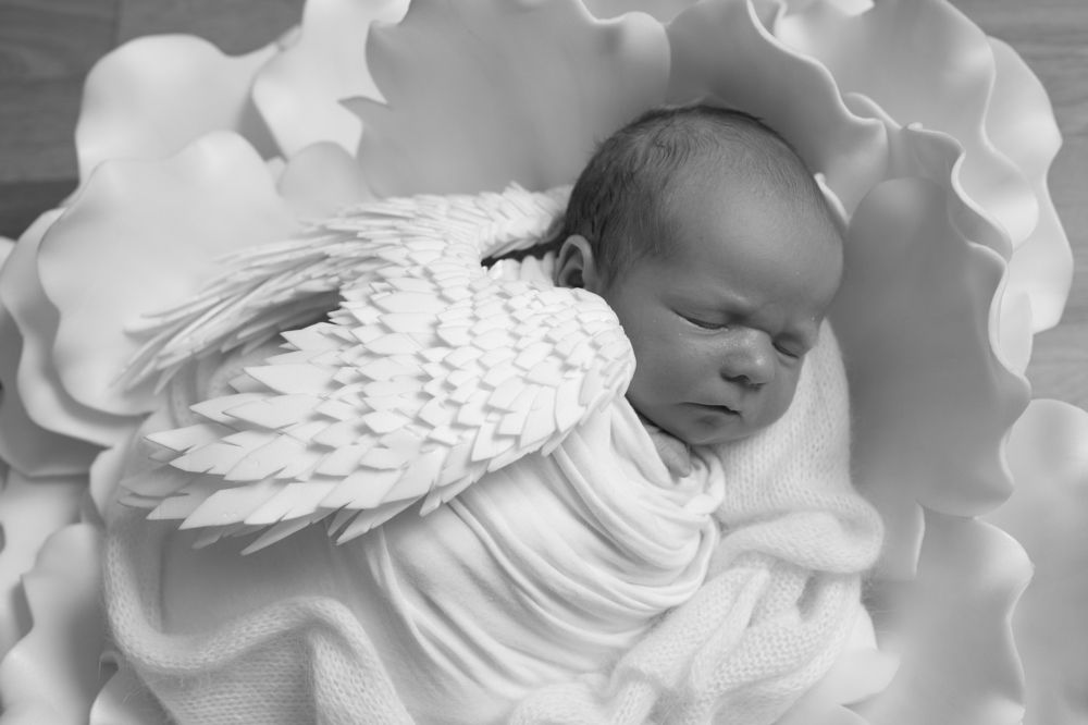 Photograph by Julia Celminska