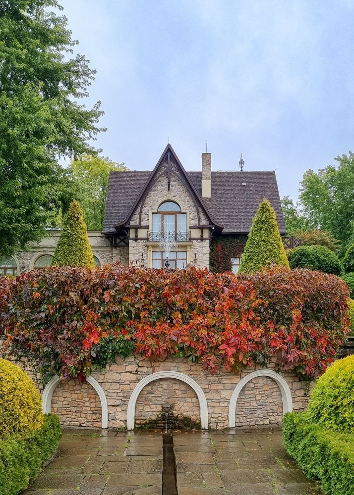 Photograph by Лариса Толкачёва