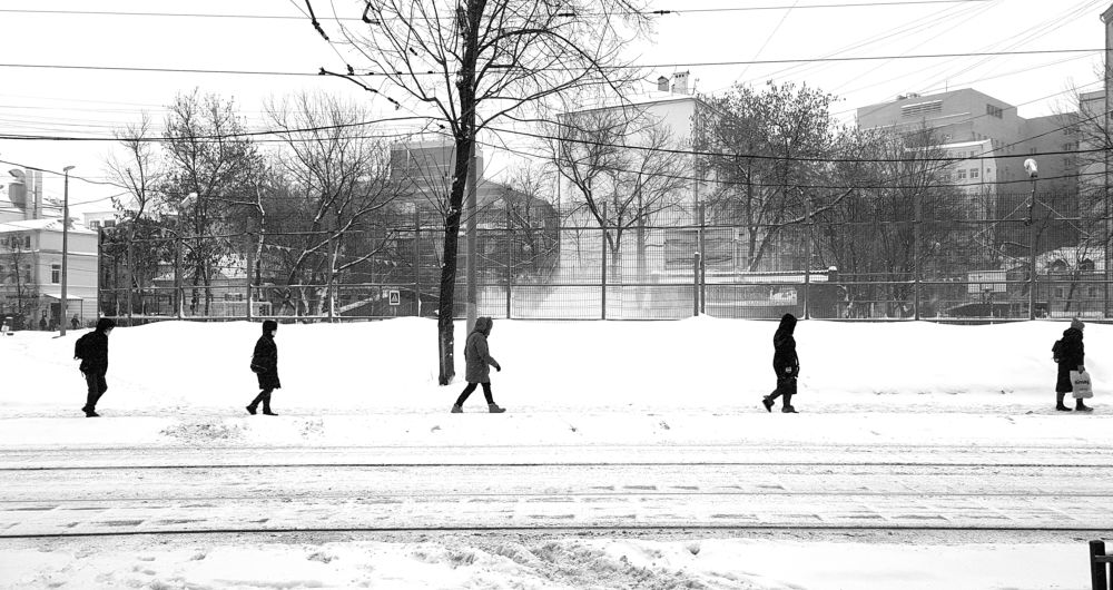 Photograph by Ira Sokol