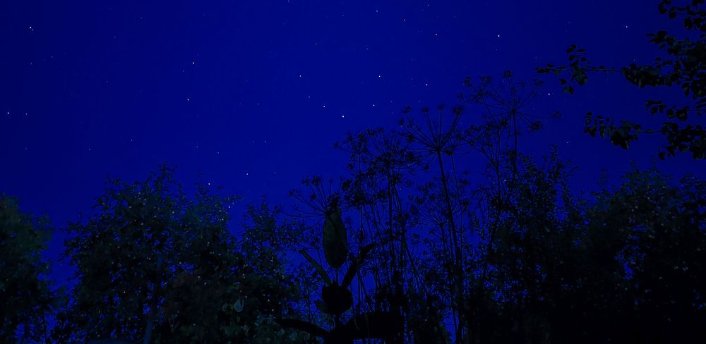 аромат яблок