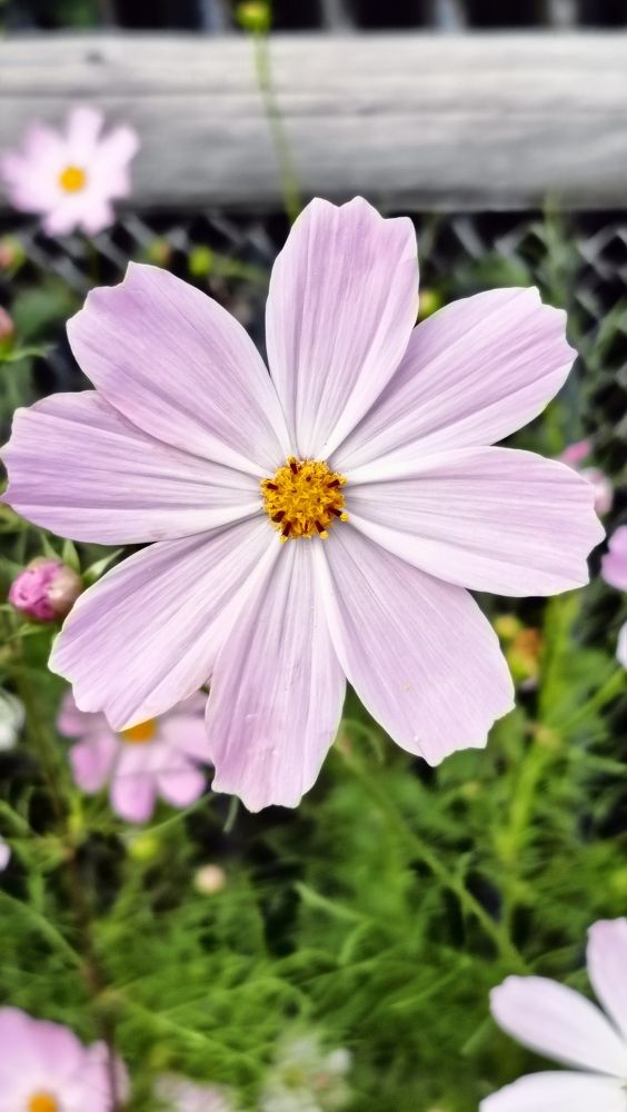 Photograph by Кулешова Анастасия