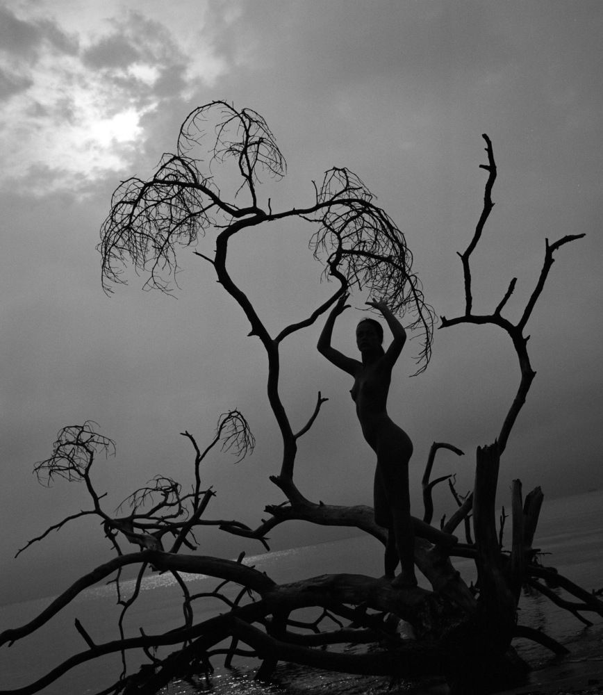 Photograph by Алексей Заморкин