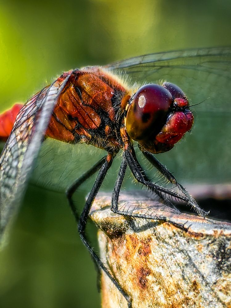 Photograph by Сергей Степаненко