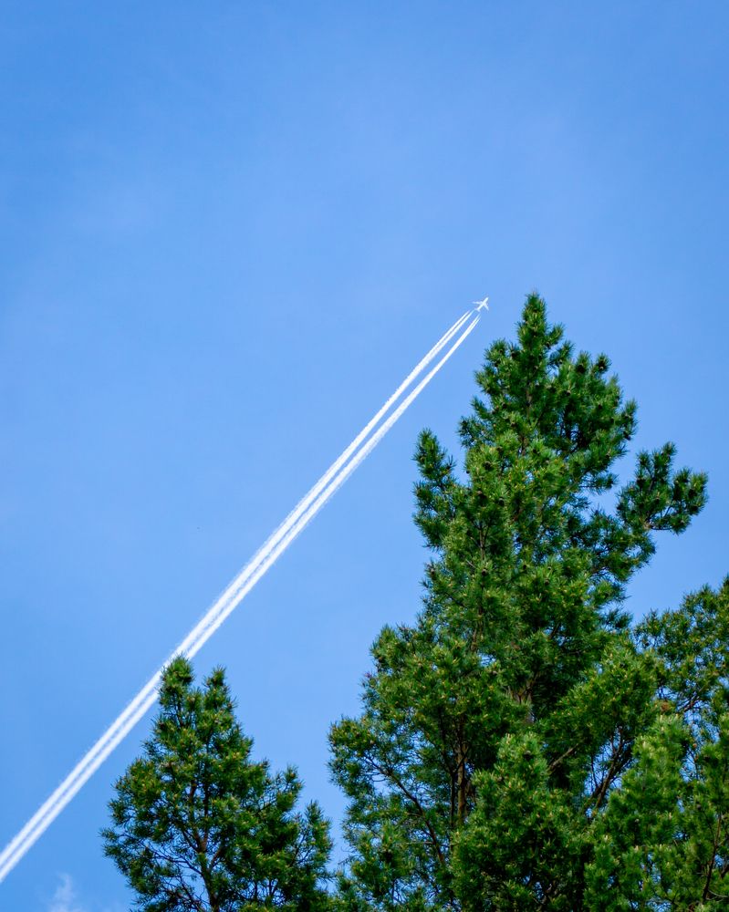 Фотография автора Руслан Токмагамбетов