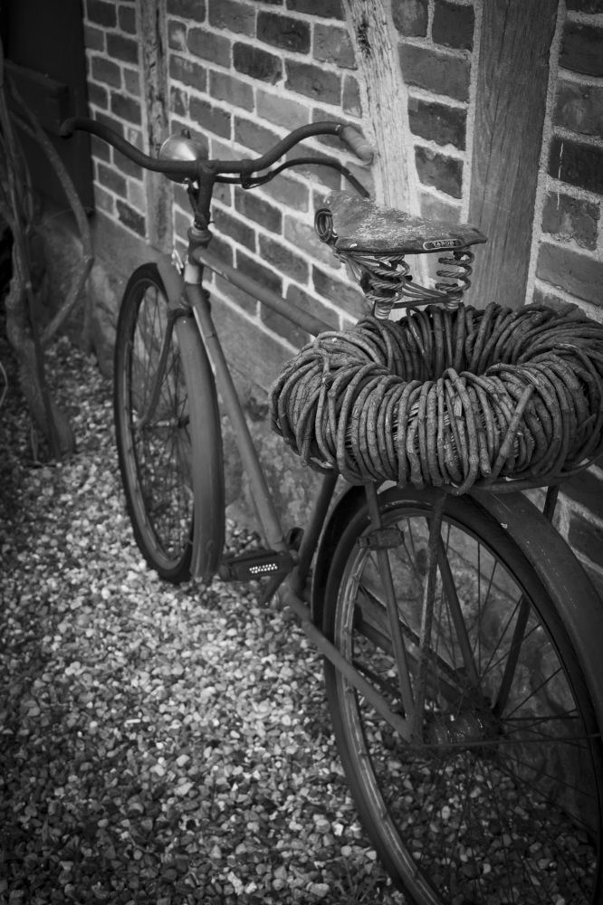 Photograph by Irina Stroh