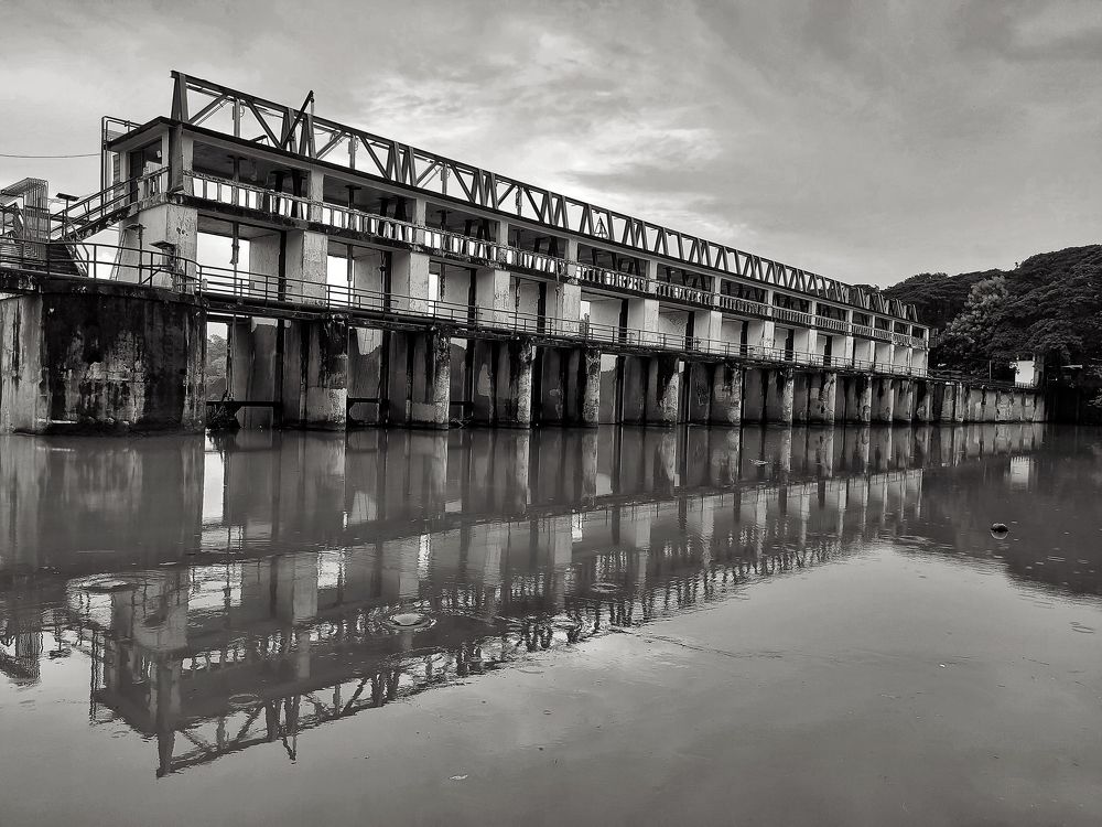 Photograph by Sharel Albor