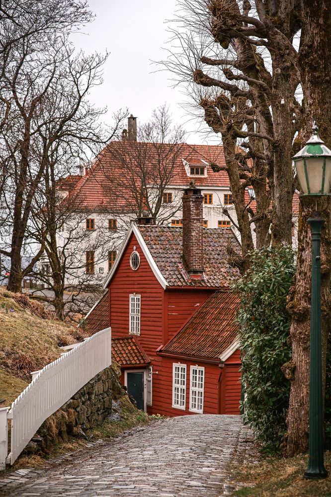 Photograph by Ольга Кудина