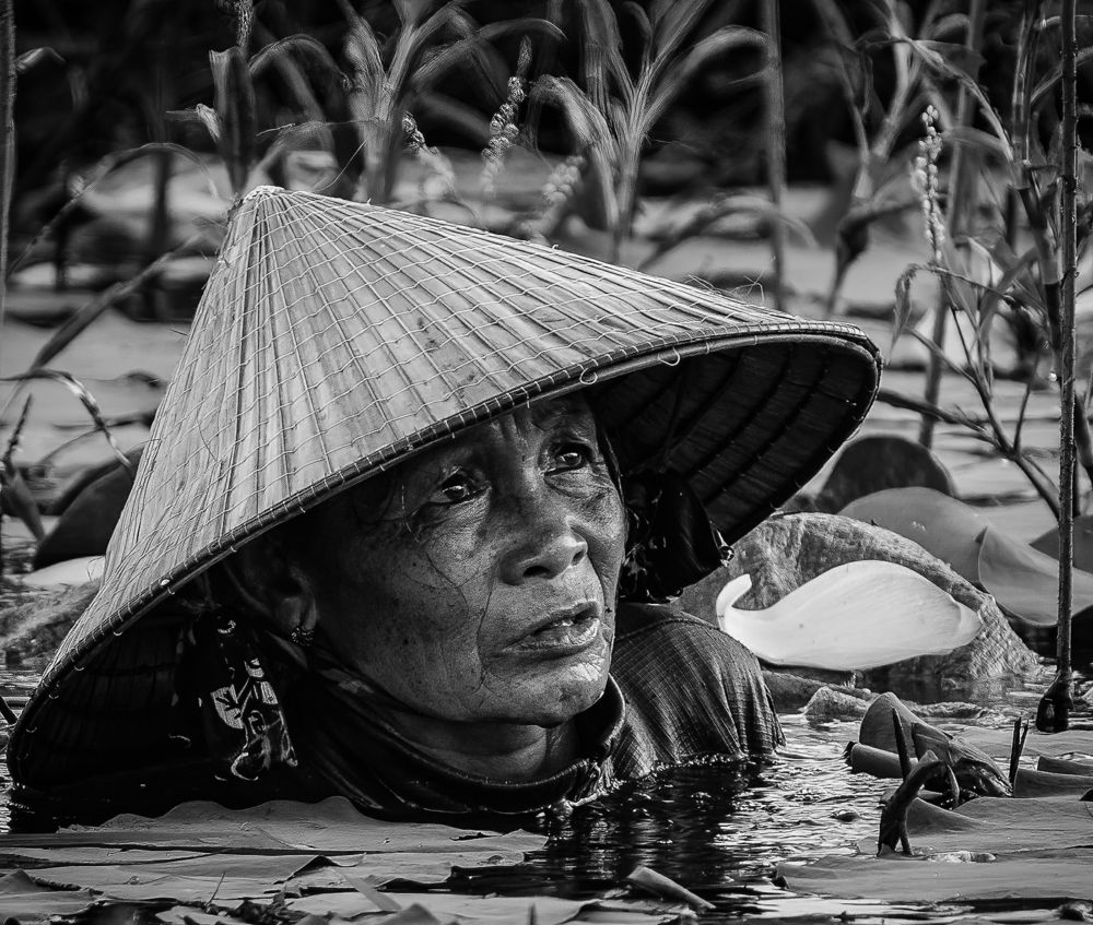 Photograph by Pham Anh Vu