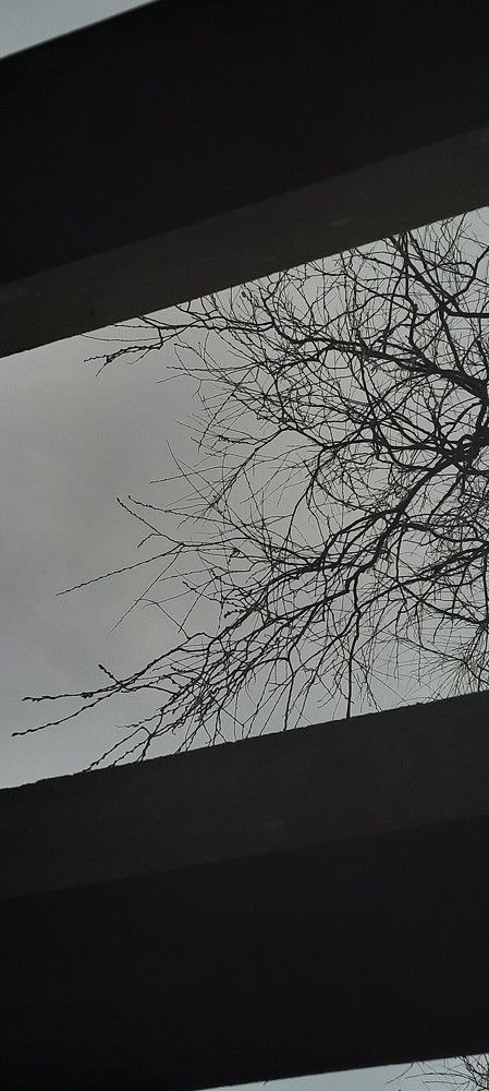 Фотография автора amin karimi