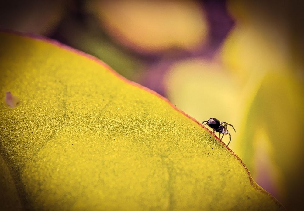 Photograph by Николай Яковлев