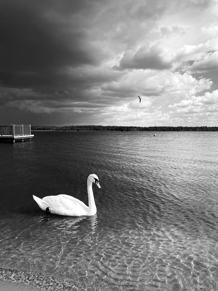 Photograph by Дарья Махнева