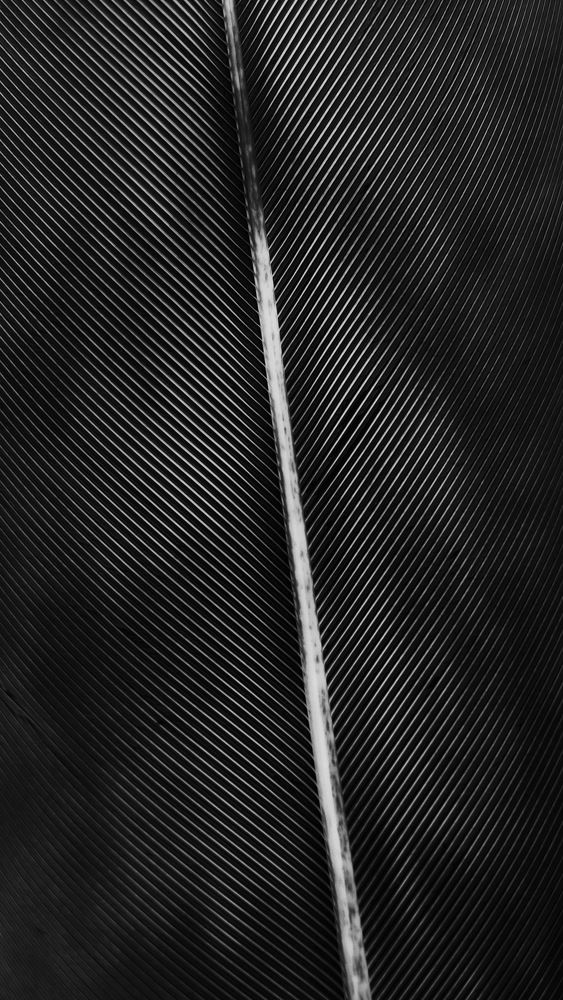 Photograph by Полина Федорович