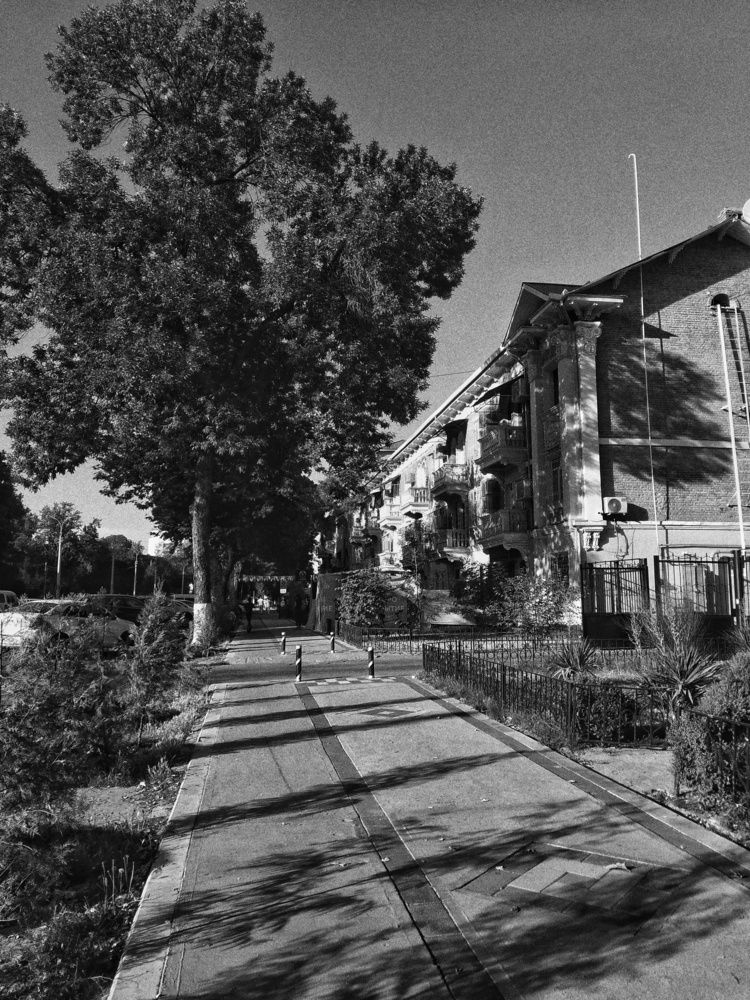 Photograph by Anastasiya Danilova