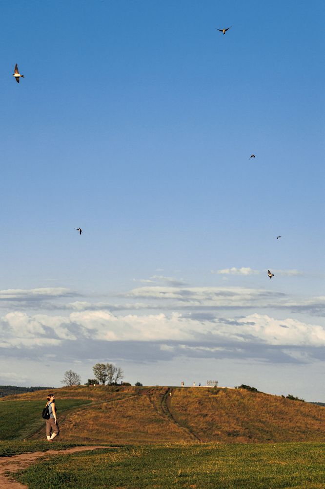 Photograph by Алексей Щупаков