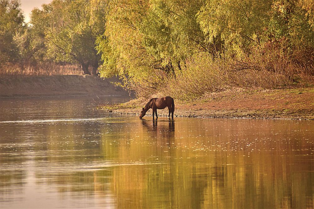 Photograph by Александр Шувалов