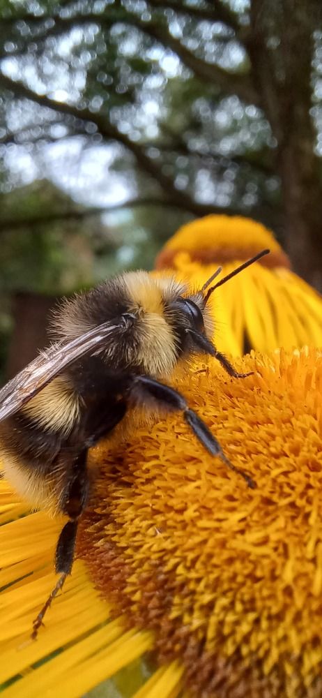 Photograph by Елена Немешаева