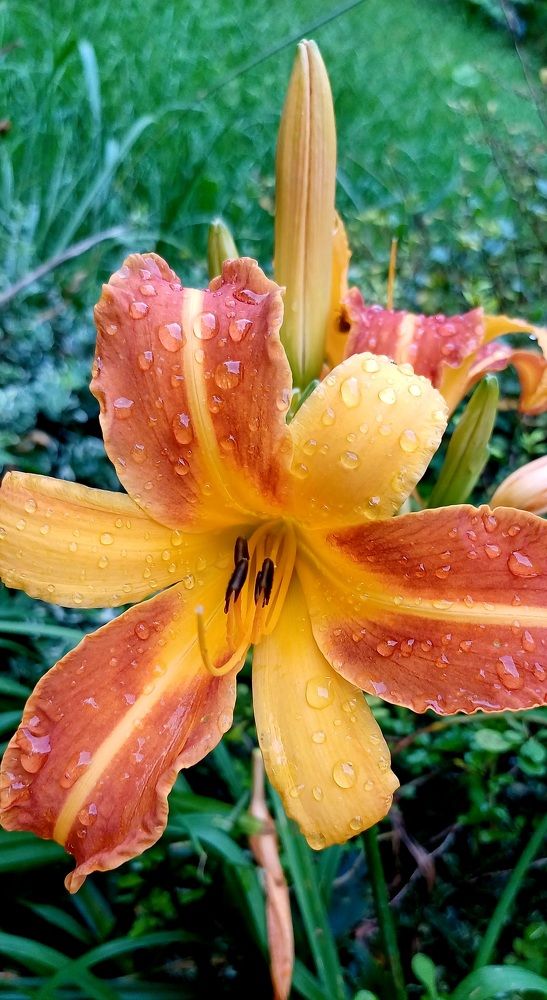 Photograph by Елена Немешаева