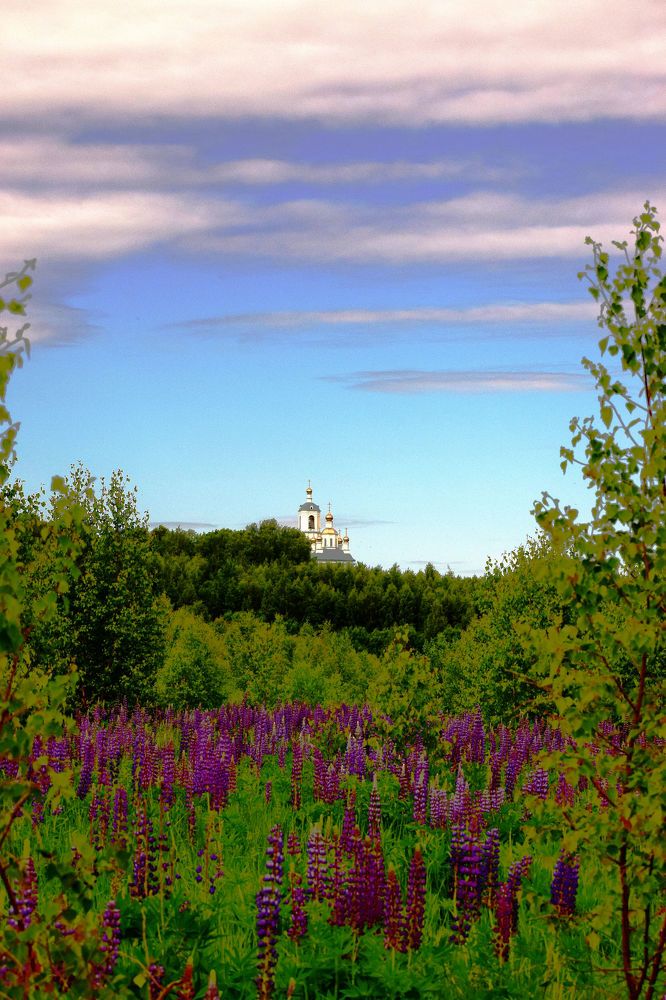 Photograph by Александр Шувалов