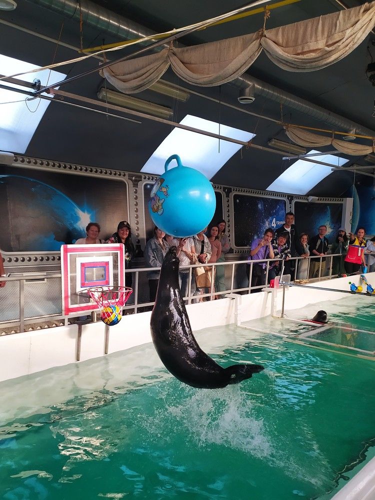 Фотография автора Елена Александрова