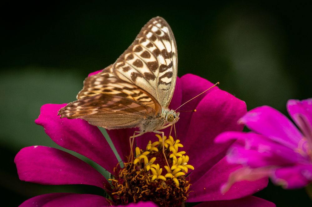 Photograph by Олег Волков