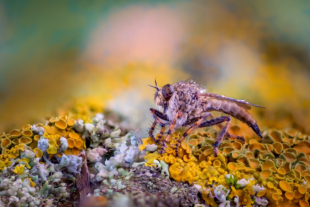 Photograph by Юрий Яковлевич