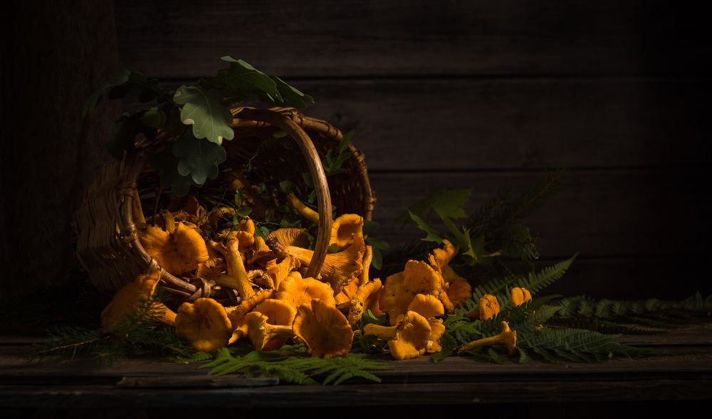 Photograph by Хвойнова Елена