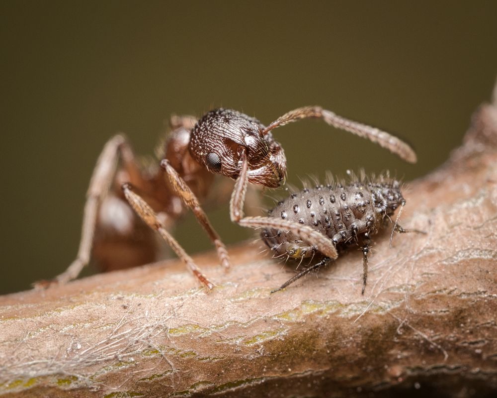 Photograph by Евгения Прокопович