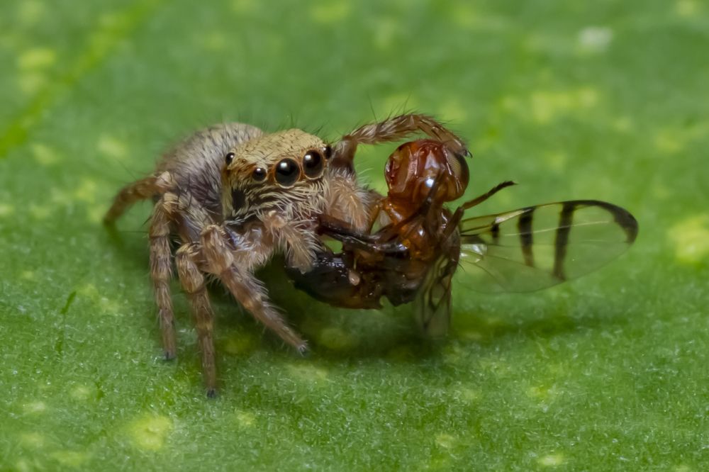 Photograph by Sameer Bhalekar