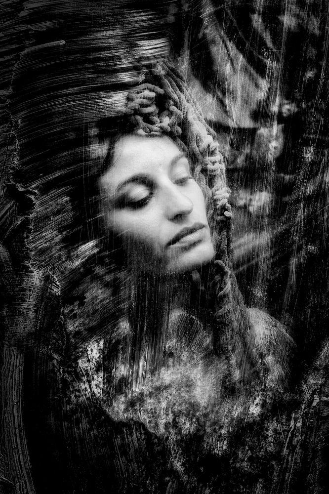 Photograph by Martial Rossignol