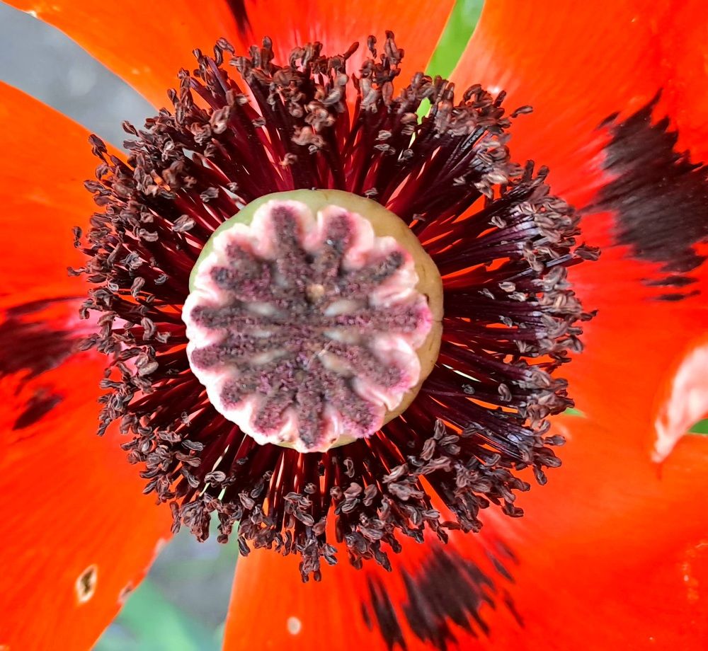 Photograph by Николай Худяков